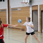 2017_01_08 Landesliga Frauen u. J19